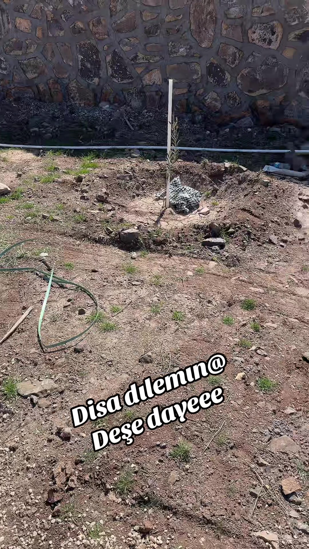 @Bayram Çelikoğlu