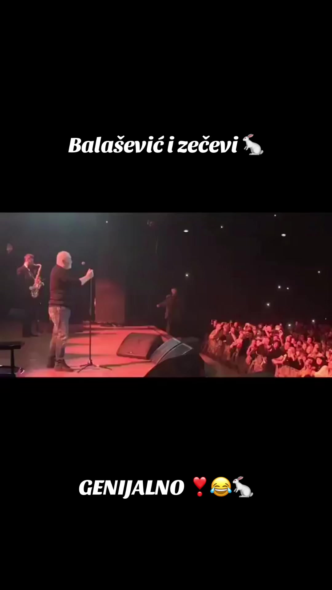 @SREDA🐾