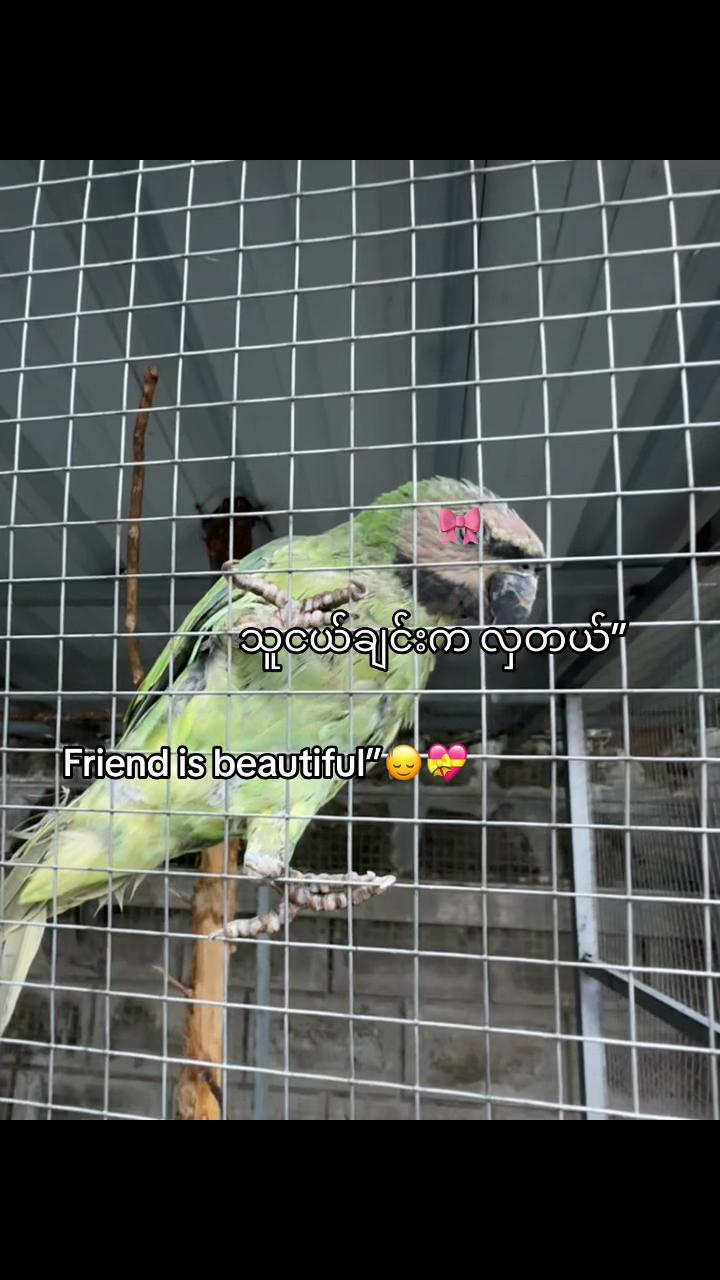 @jmx.zum