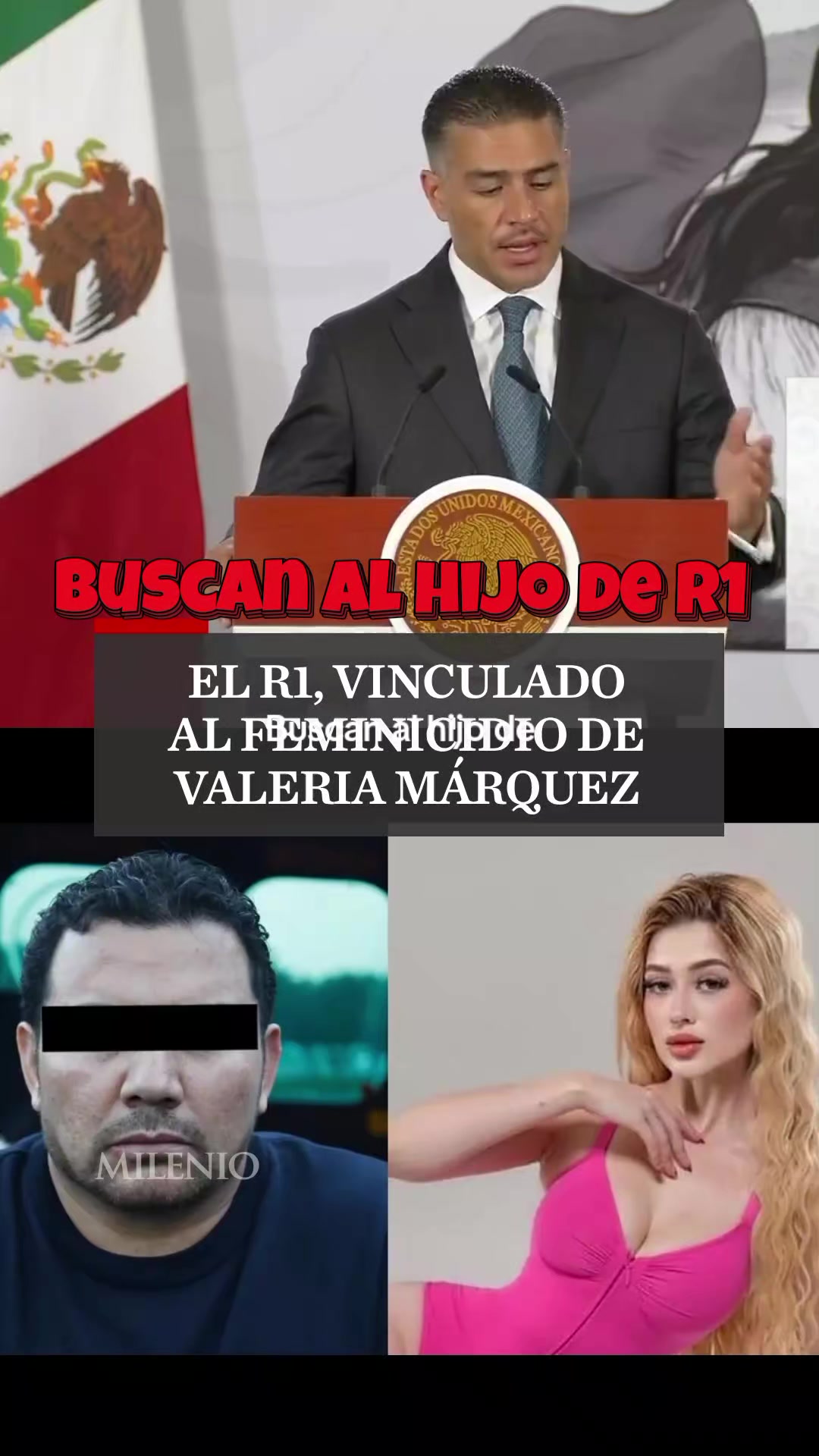 @TeLoInformo