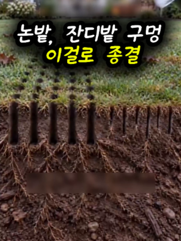 @리키백커