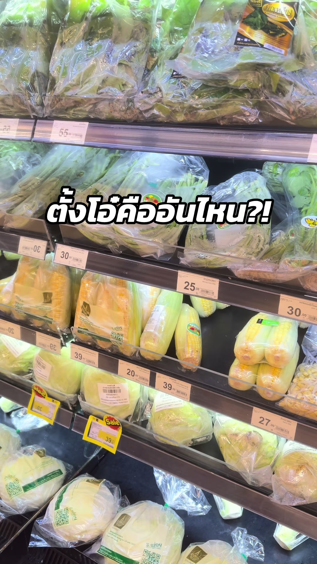 @ล่ามญี่ปุ่นสายอัลตร้า✅🏃♀️