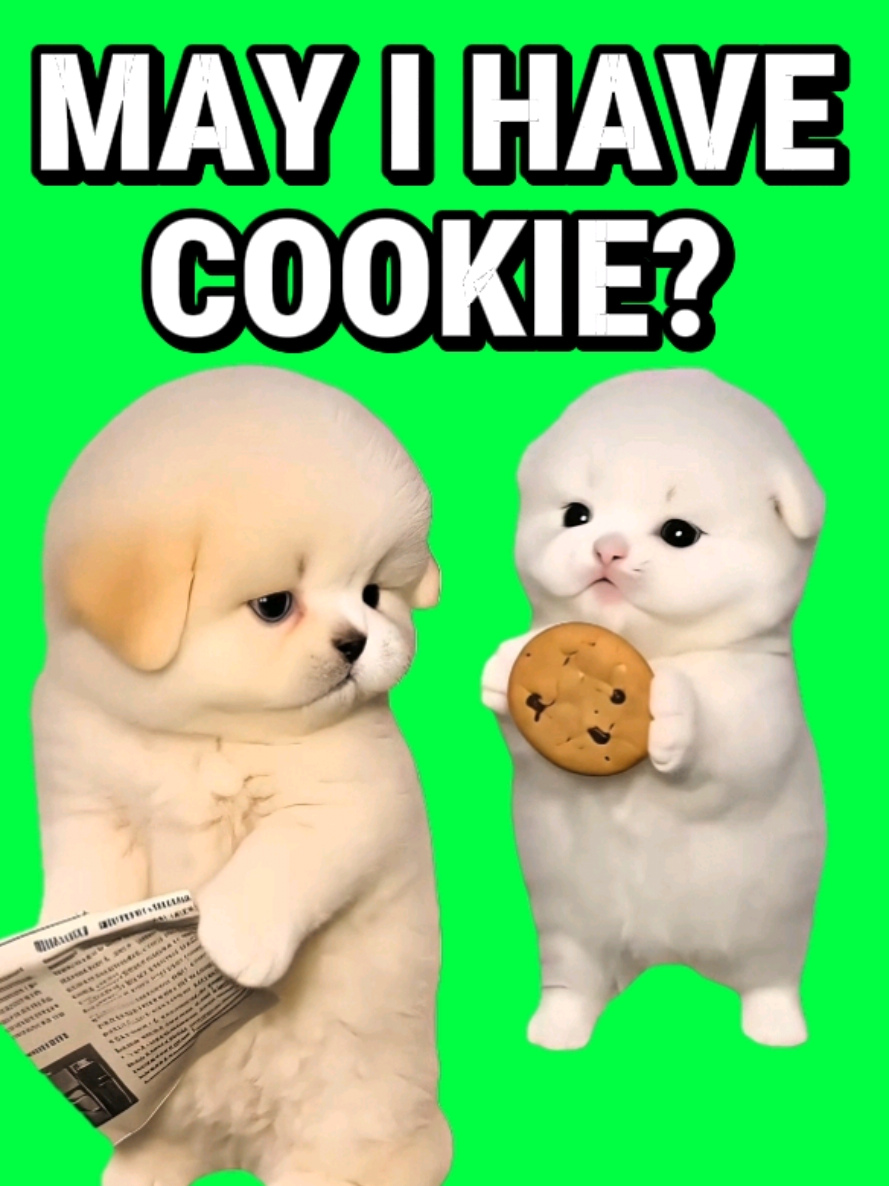 @MemeScreens