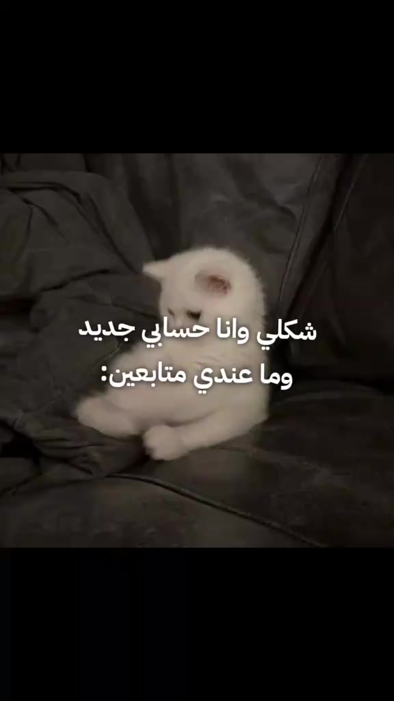 @😇غرام🤍