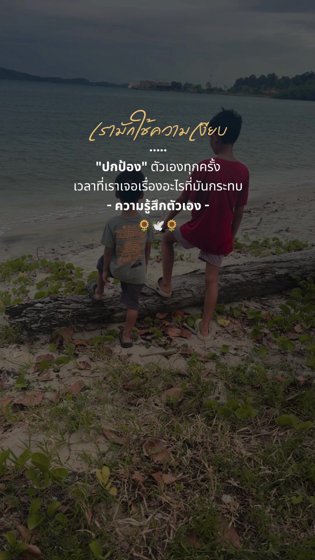 @🌻แม่แก้วของปูนปั้นกะปลาวาฬ🌻