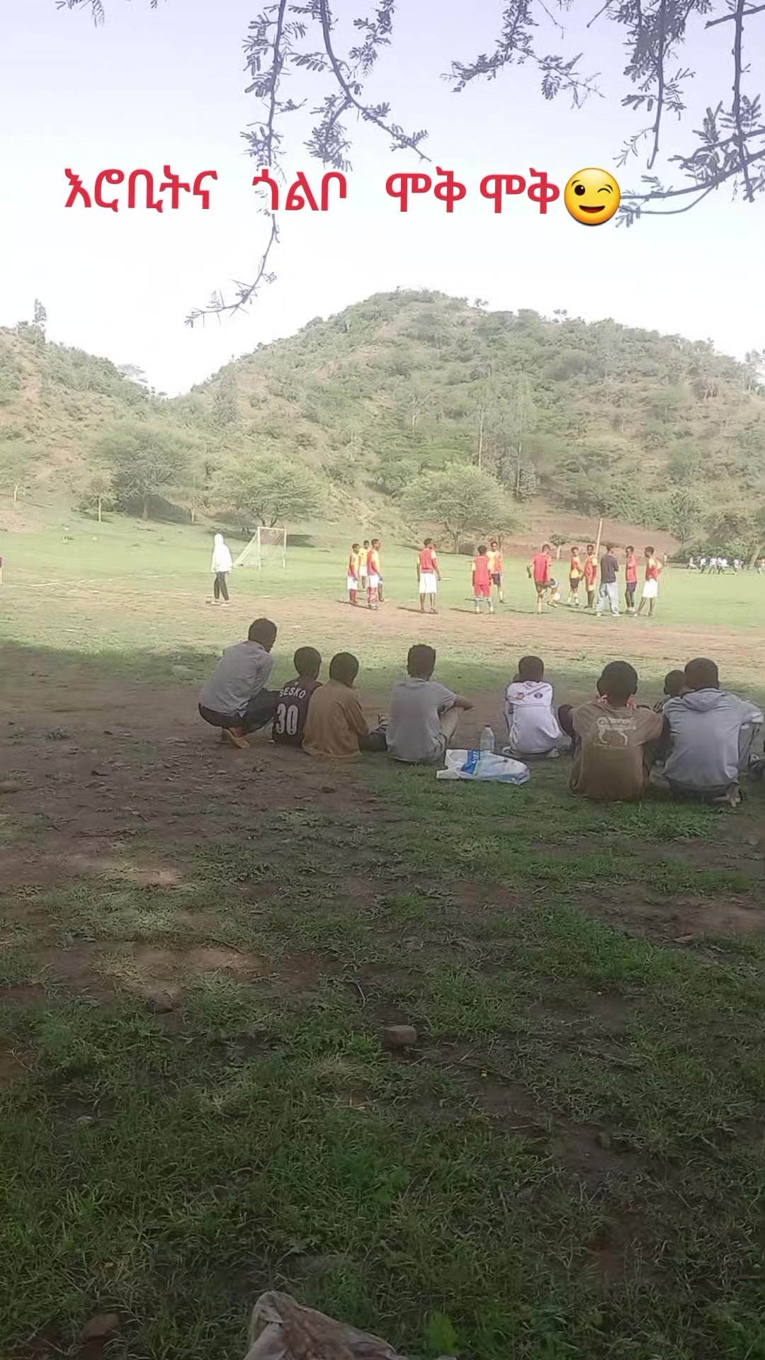 @▤➾ ሀዪ ያባሰሏ 🦅🦋