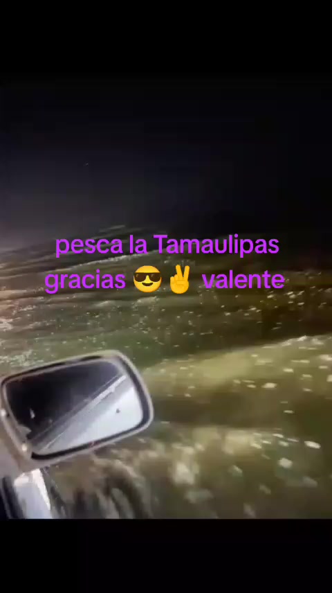 @Valente Alfaro