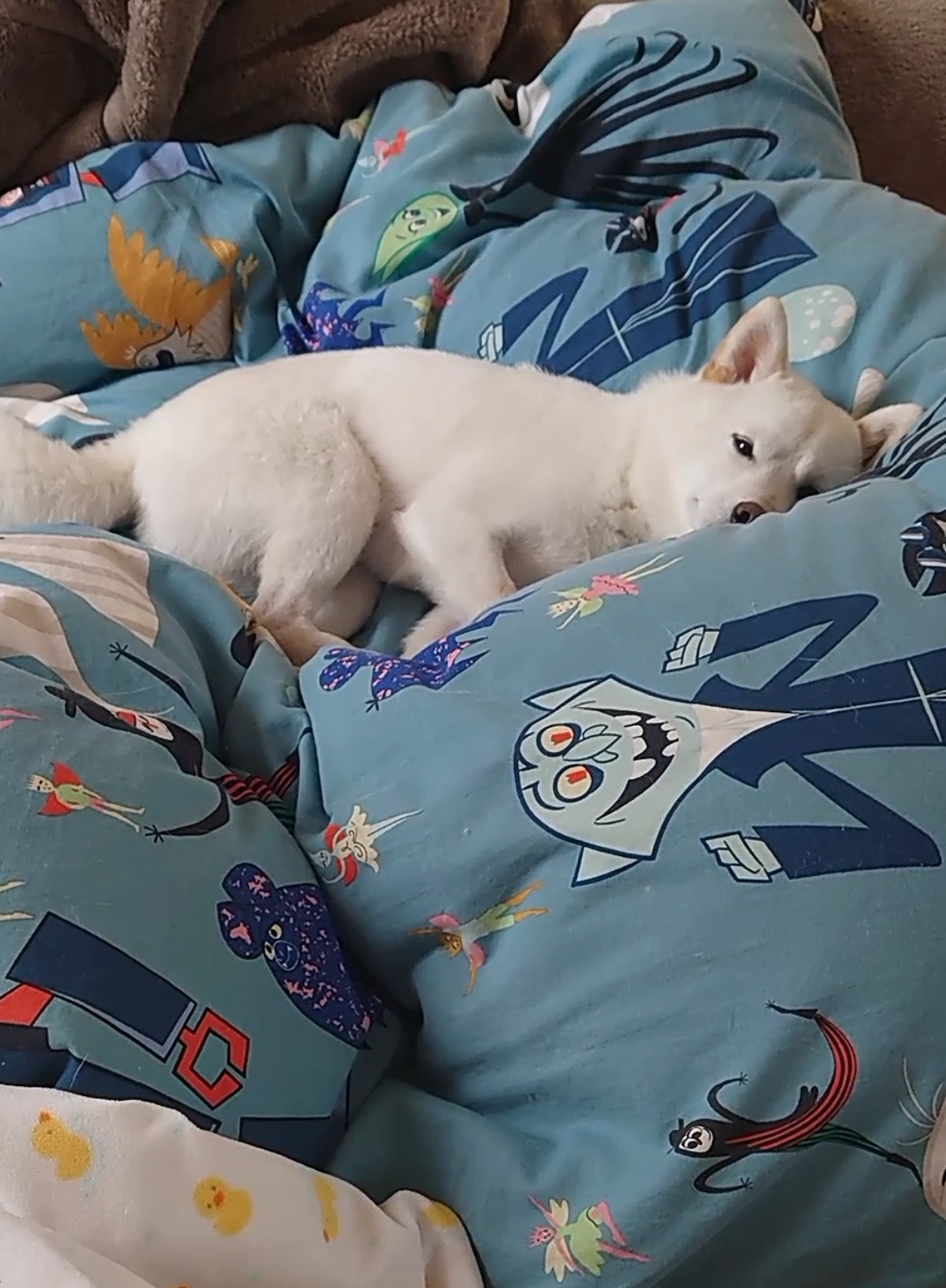 @Mochimaru