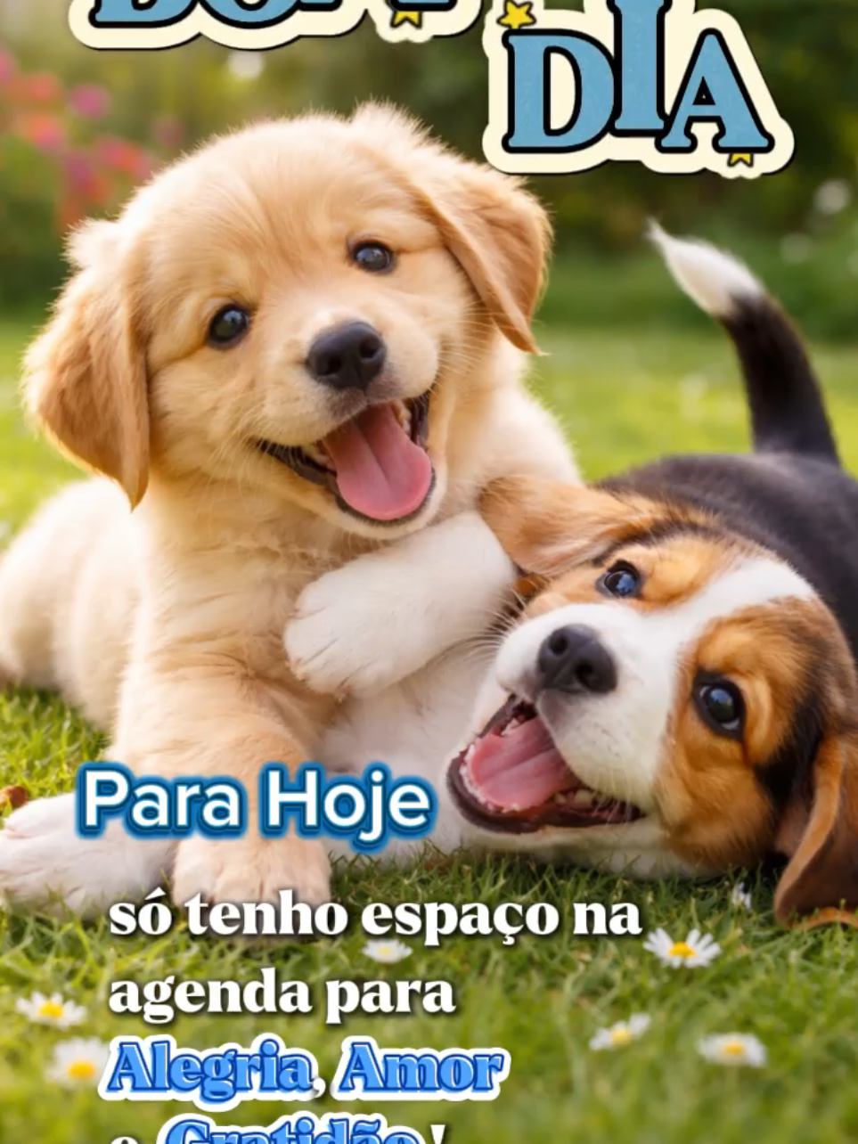 @Semeando Reflexões