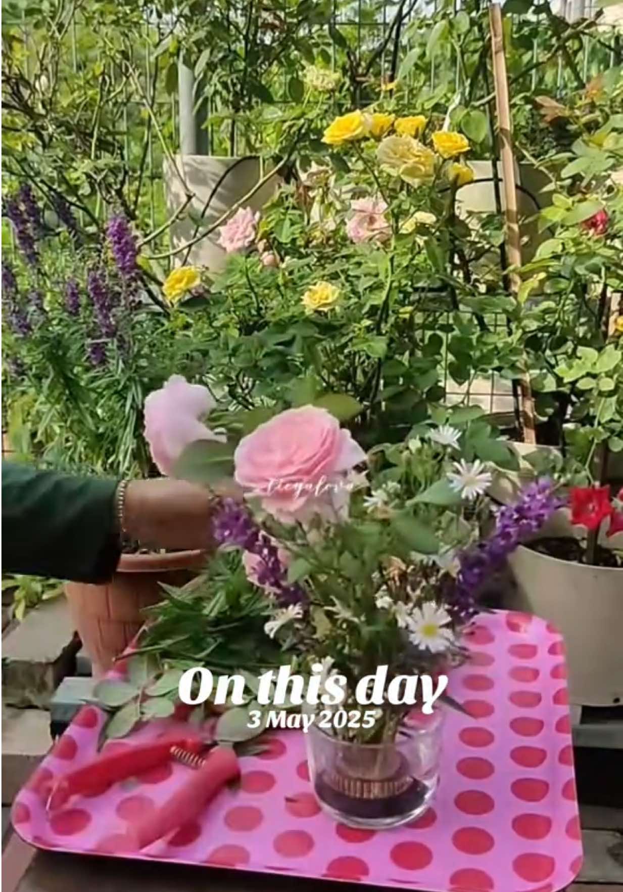 @Tieyalova’s Potting Shed