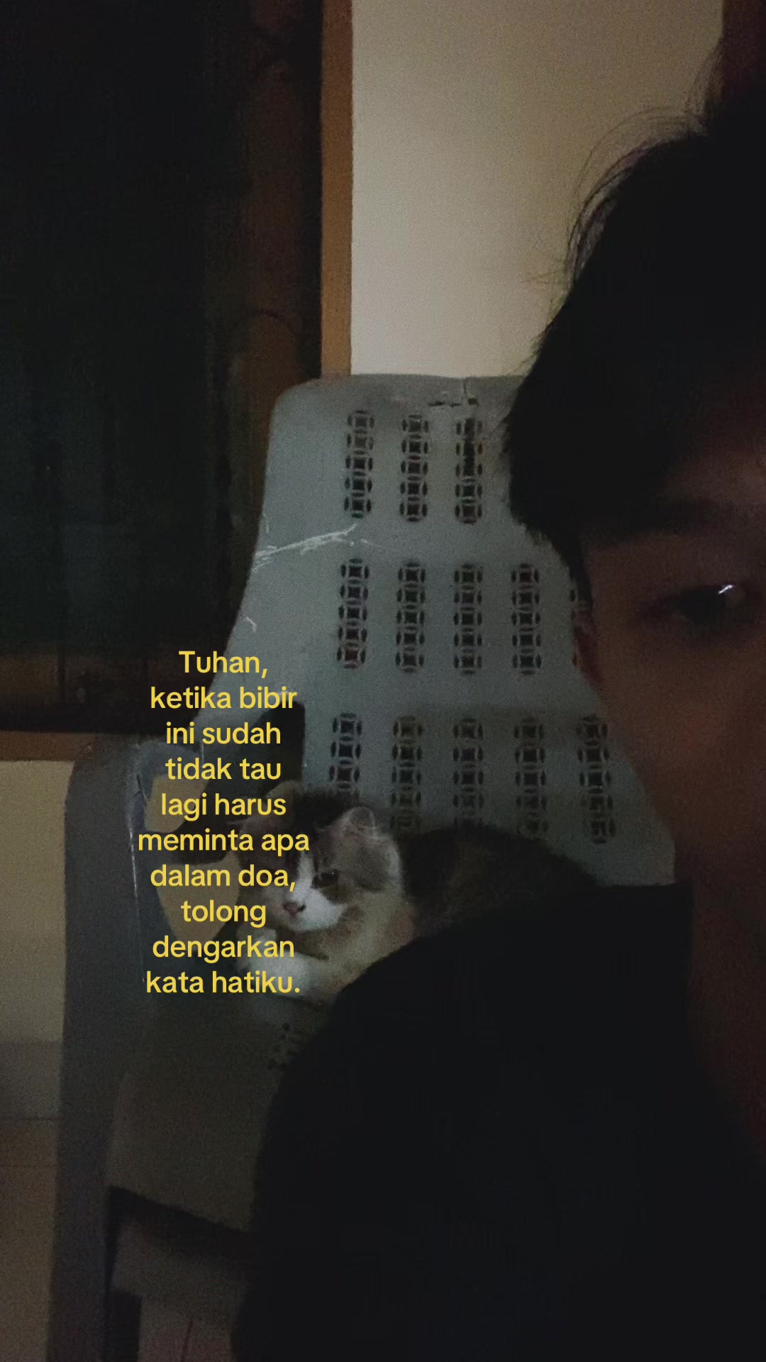 @ig. apinnofr_