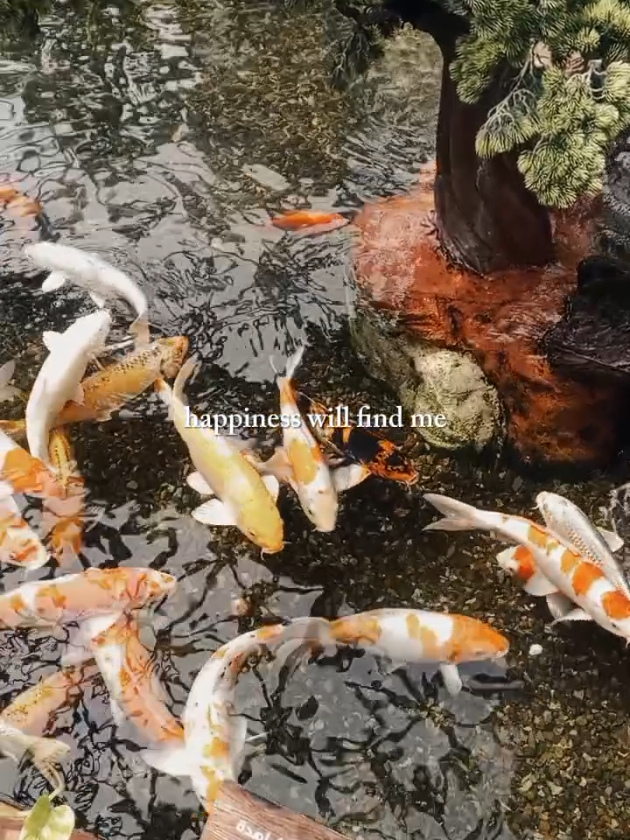 @𝓲𝓪𝓶 𝓵𝓮𝔁𝓲𝓮𝓰𝓻𝓮𝔂 21
