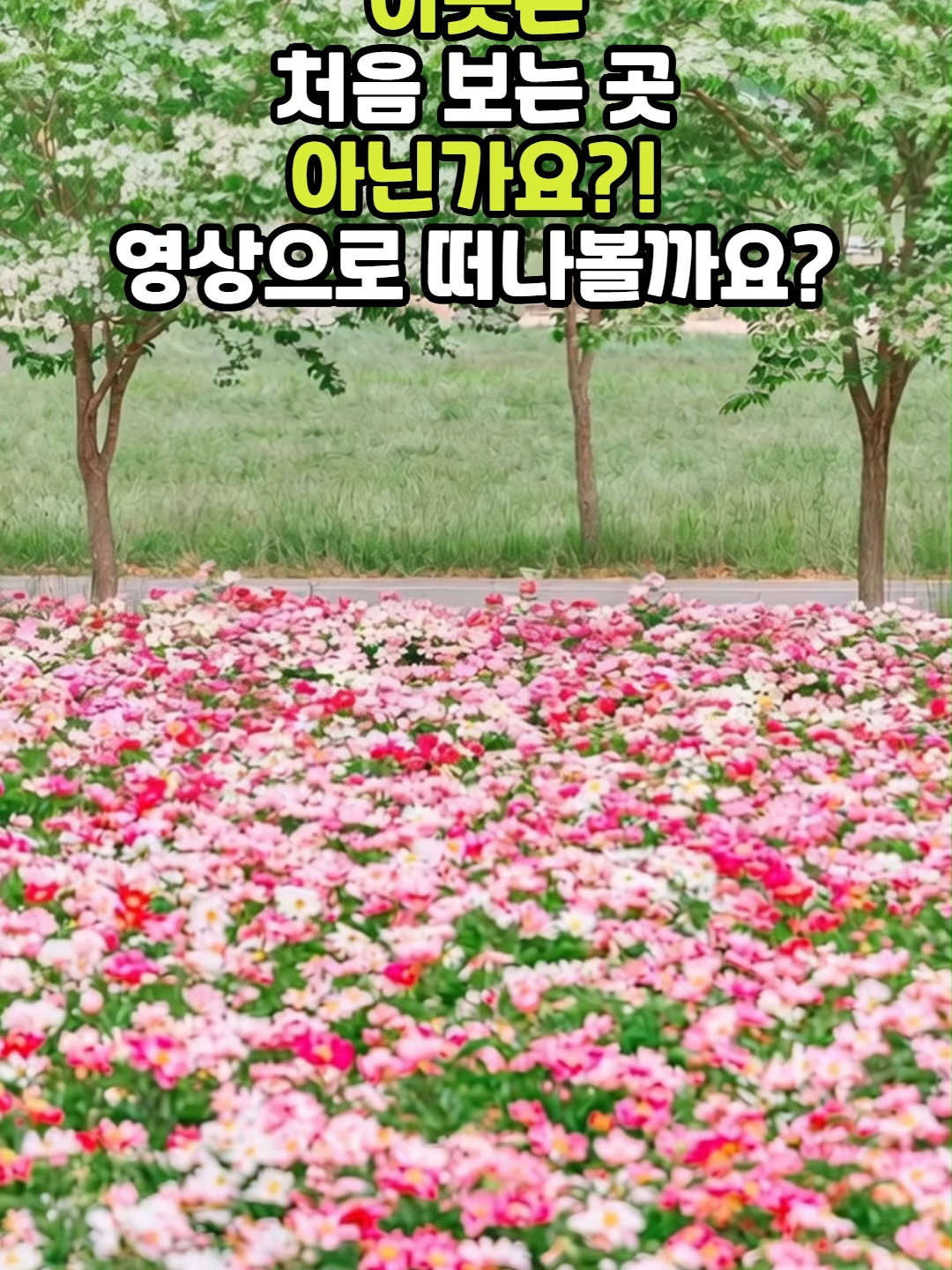 @꽃길