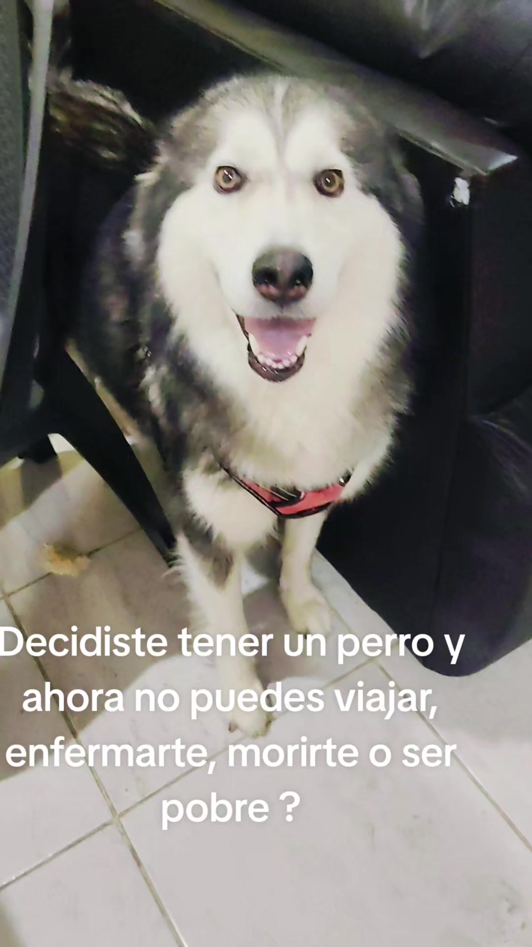 @Mis Jessy