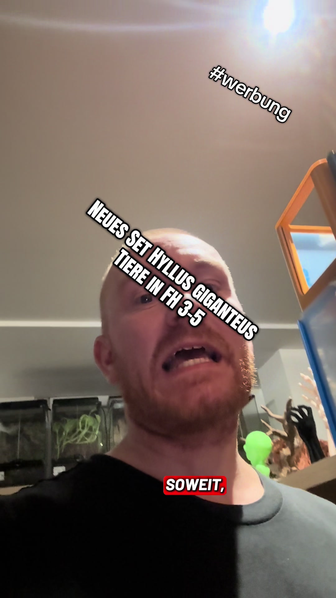 @Home-of-Insects