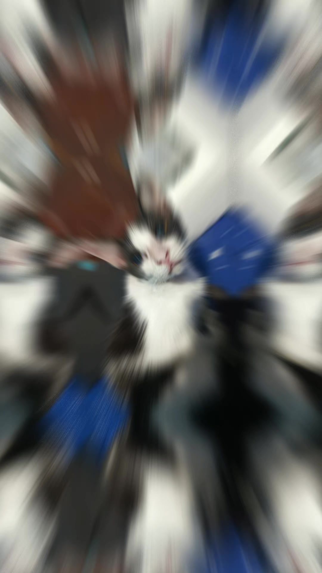 @- K.A.Y -