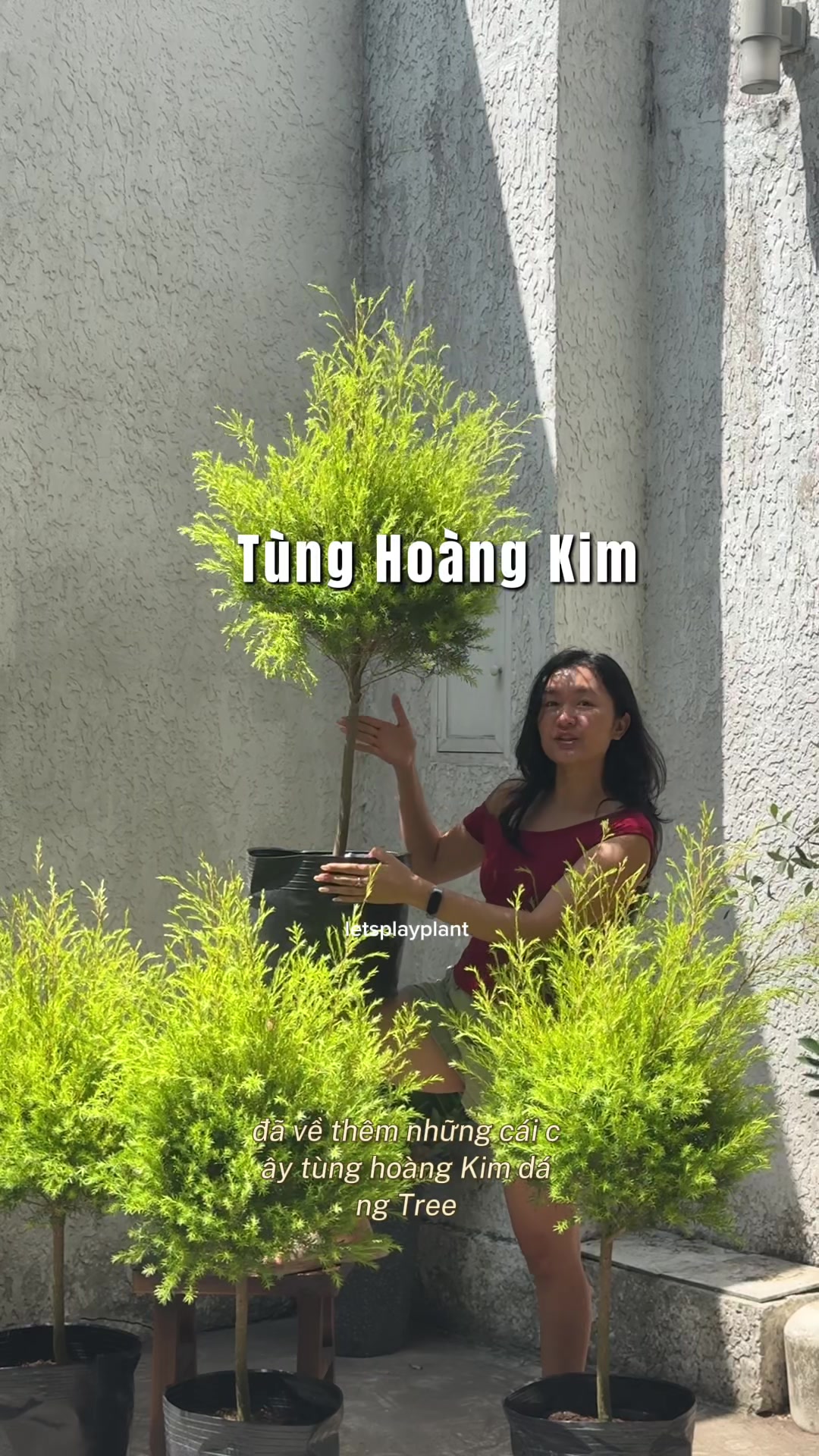 @Tú Nhi - Let's play plant