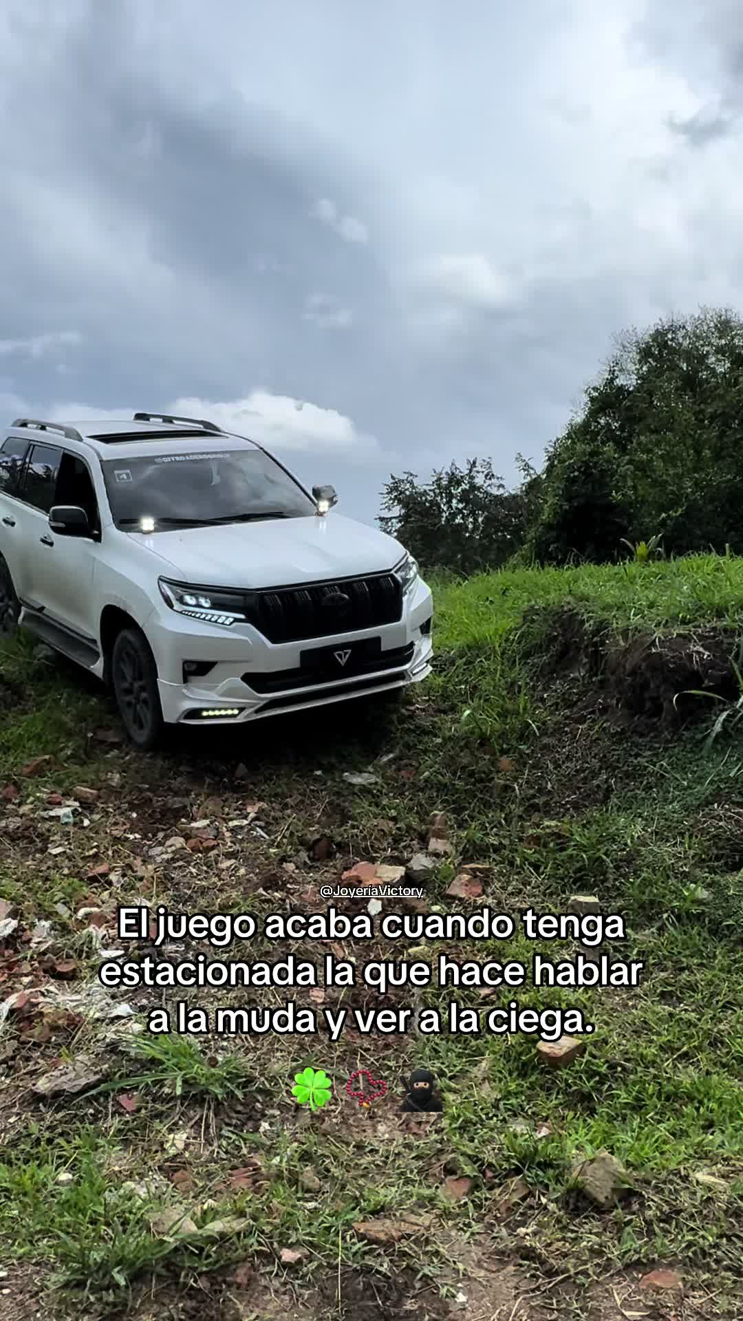 @toyo_pasion_