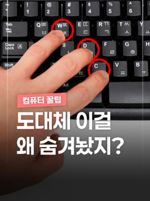 @짤컷