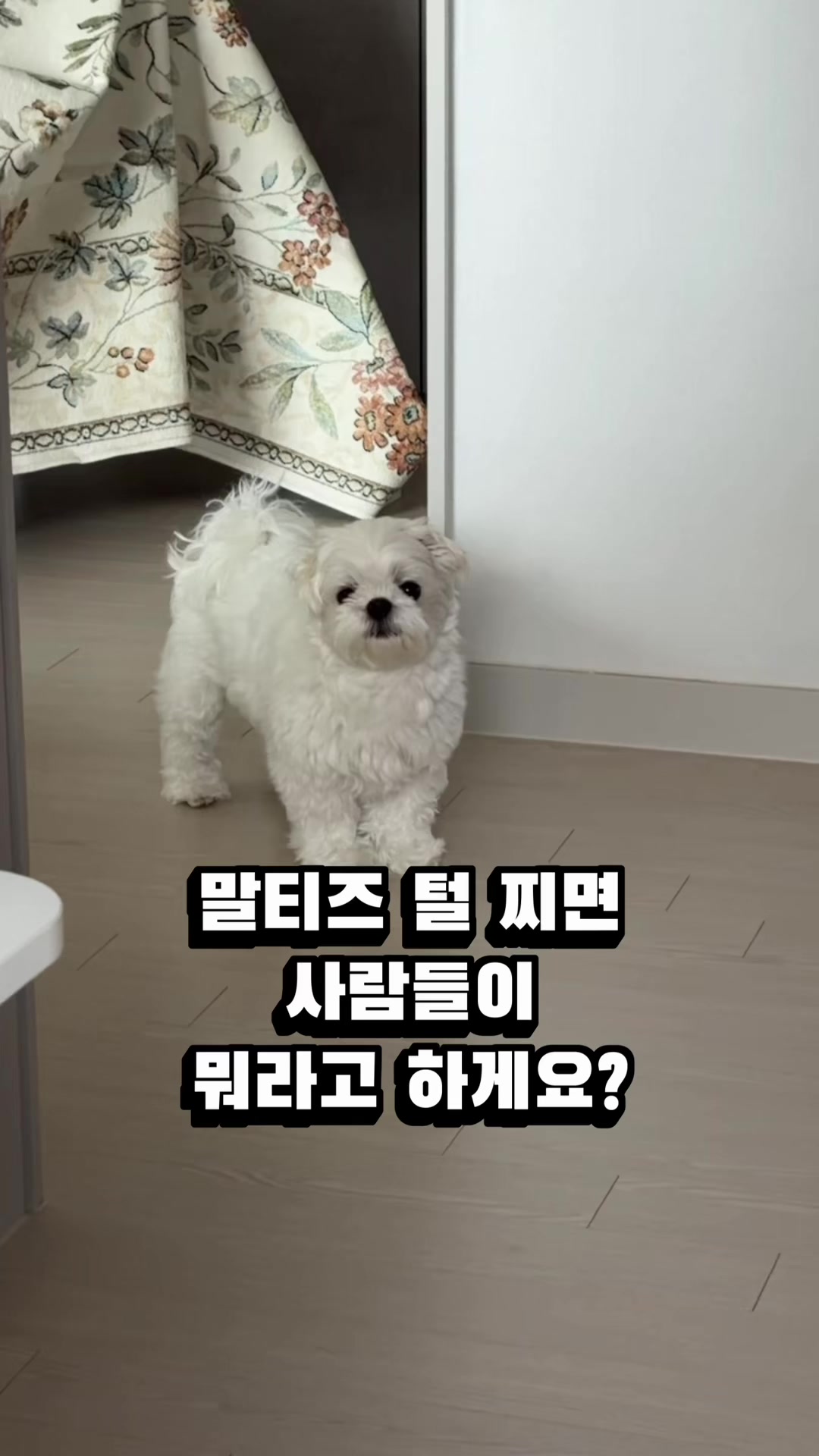 @박까까