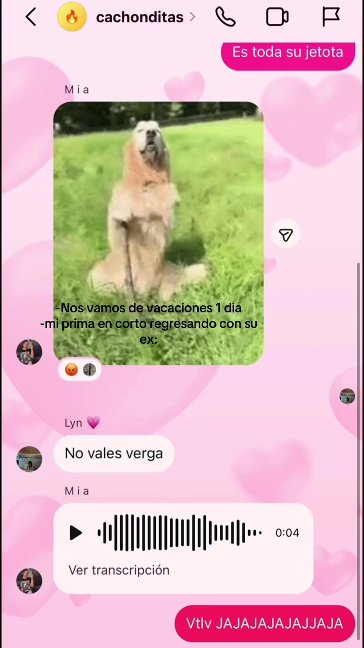 @Mev Vazquez