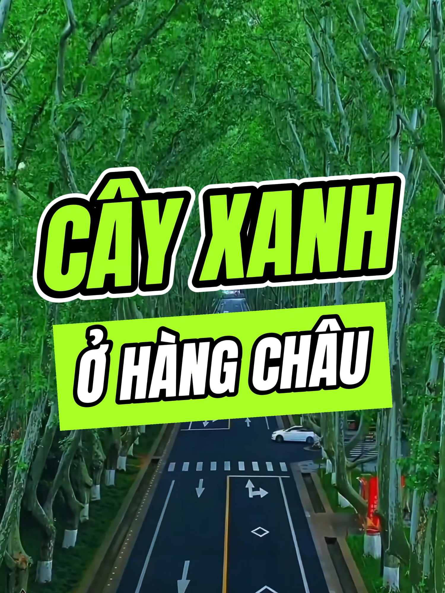 @Phượng Travel