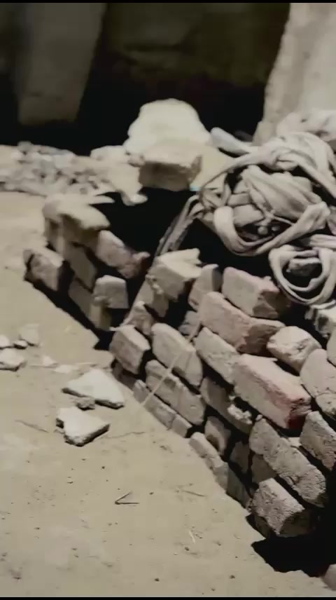 @shankersingh664