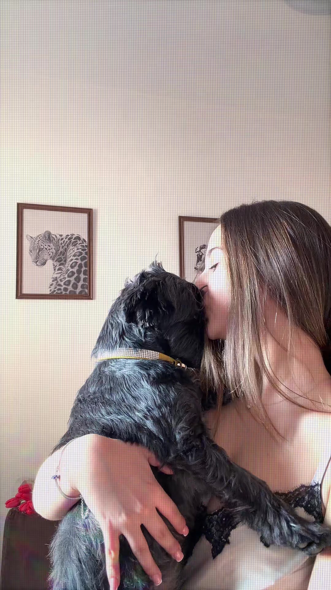 @ivanabanjanin
