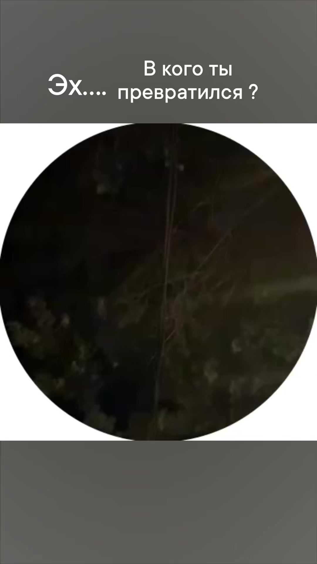 @Lyubich