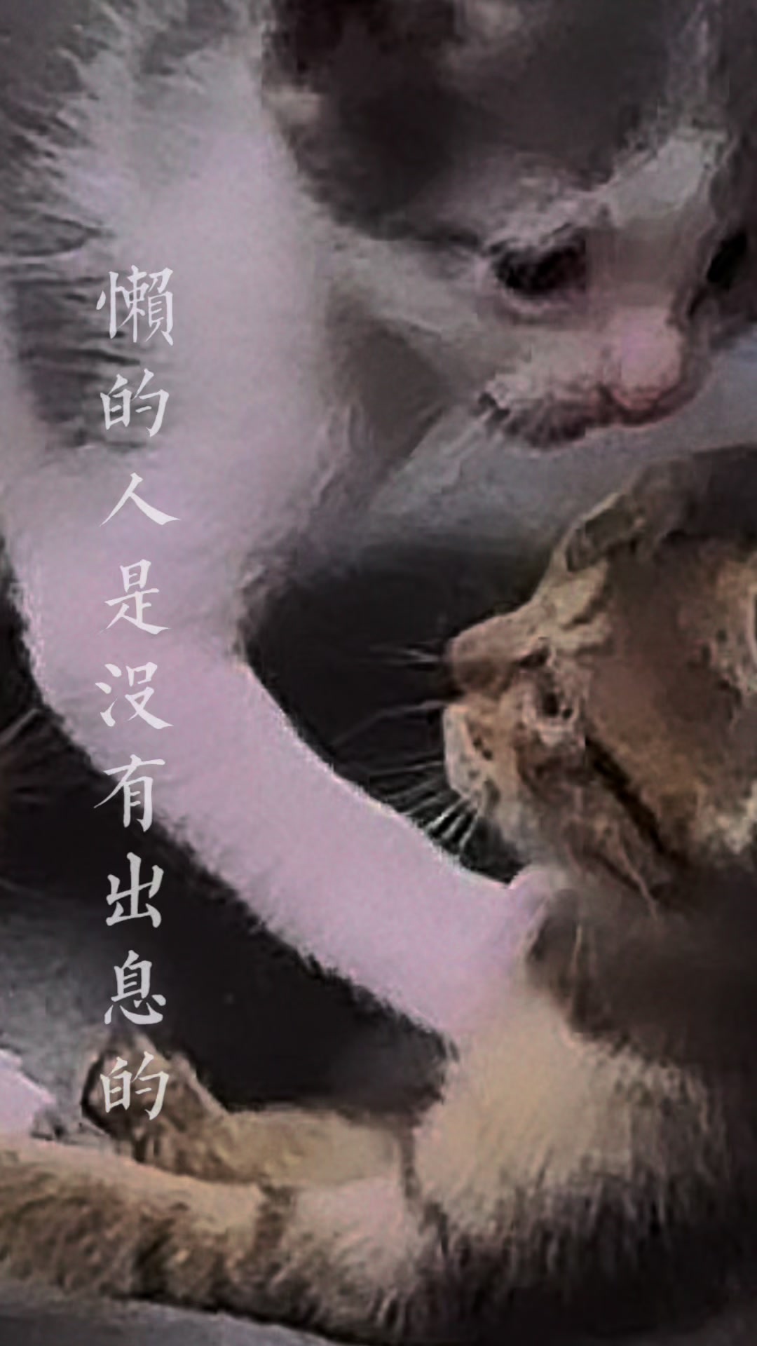 @mizutsune Sunshine 1995