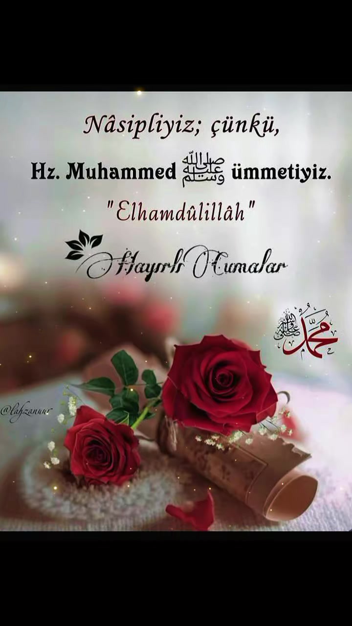 @Fatma Bolat