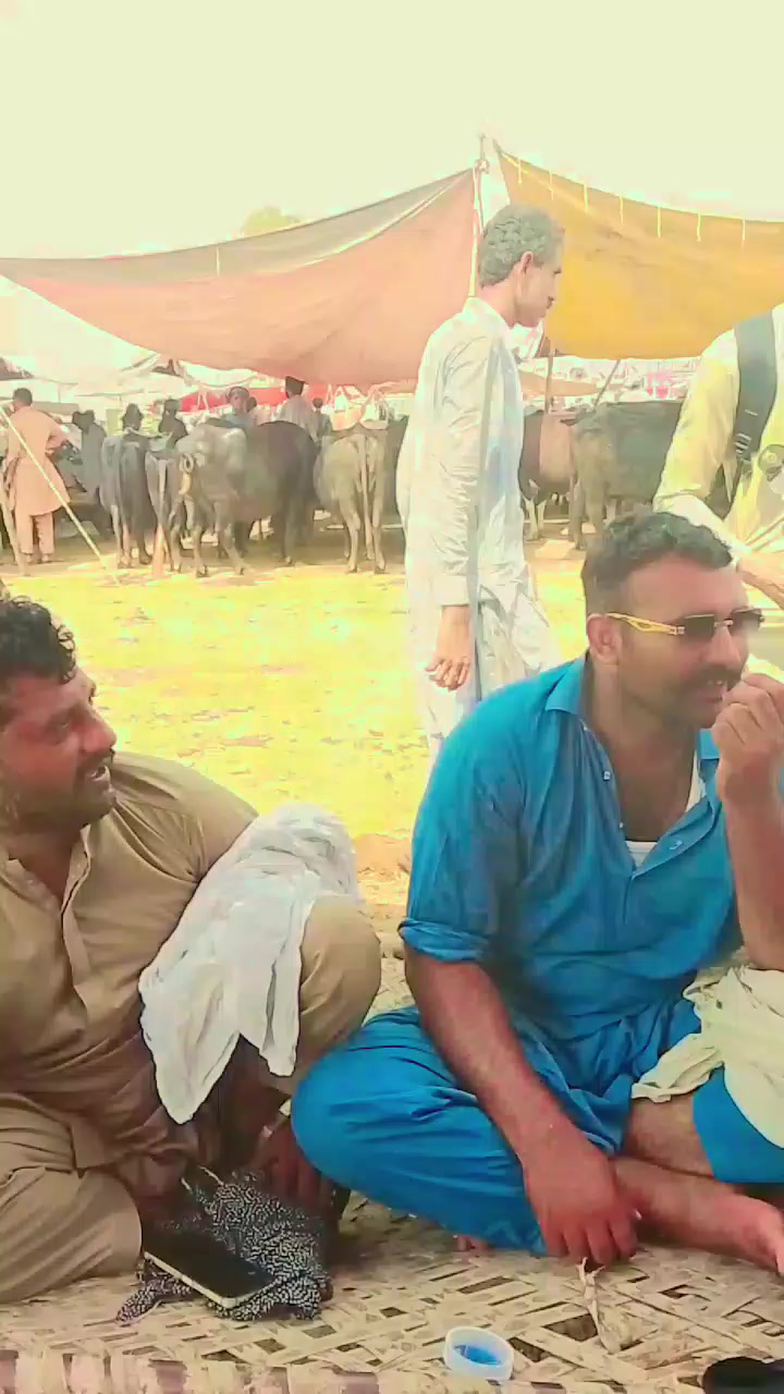 @Ch M Shahzad gujjar