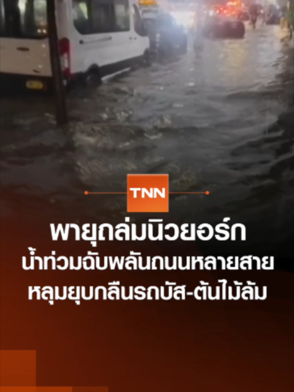 @TNN Online