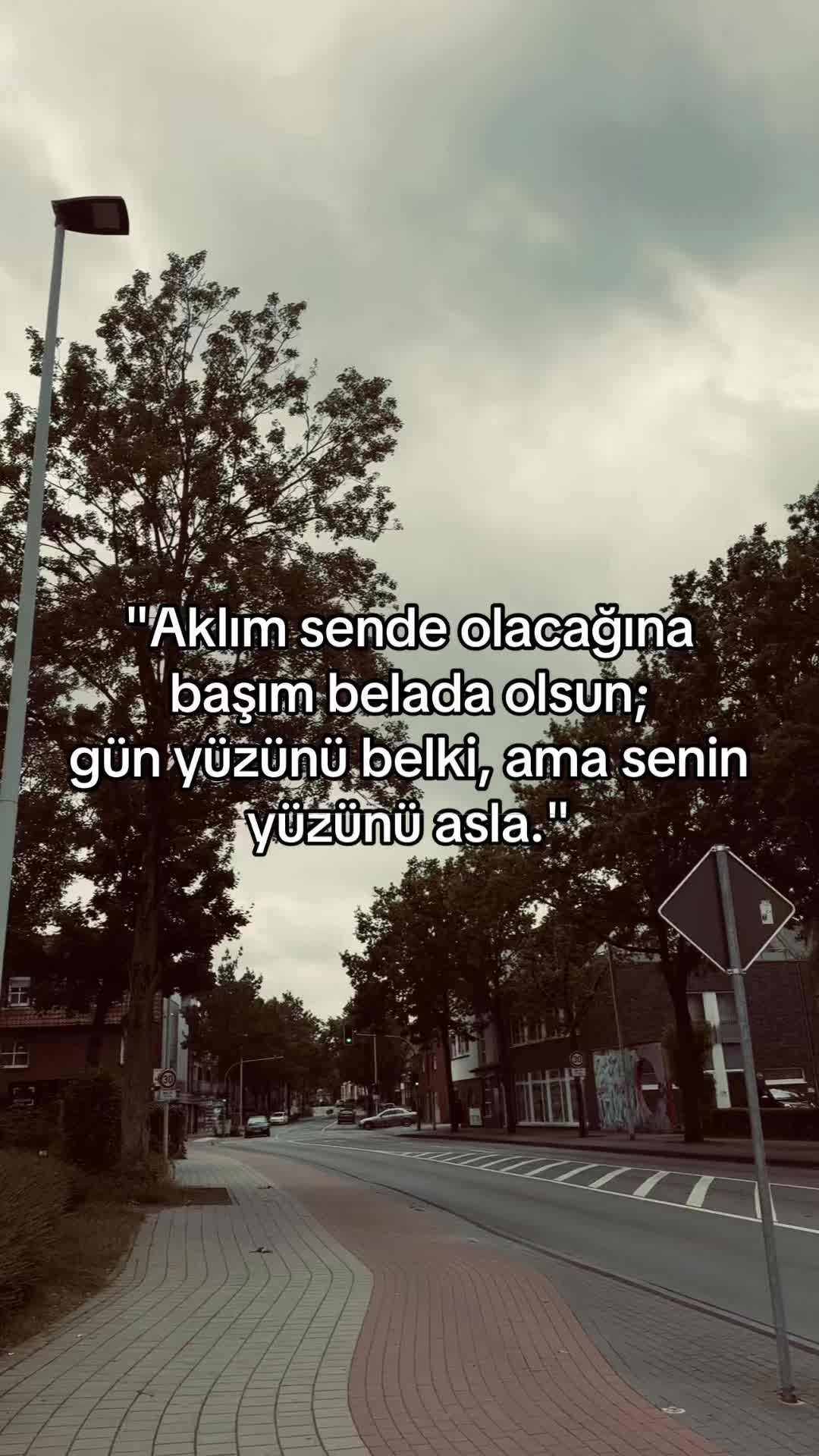 @73_storyy