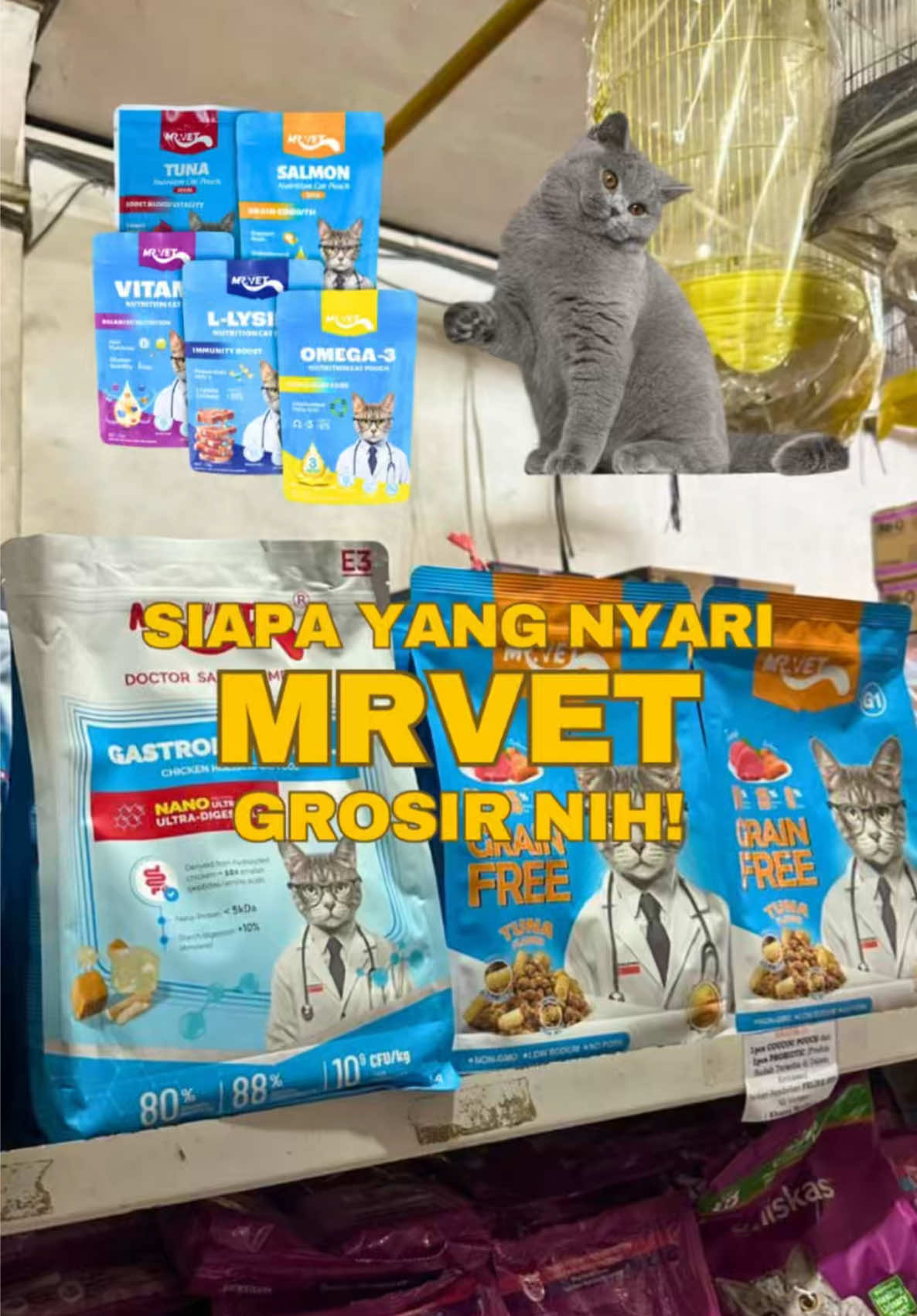 @bejo petmart