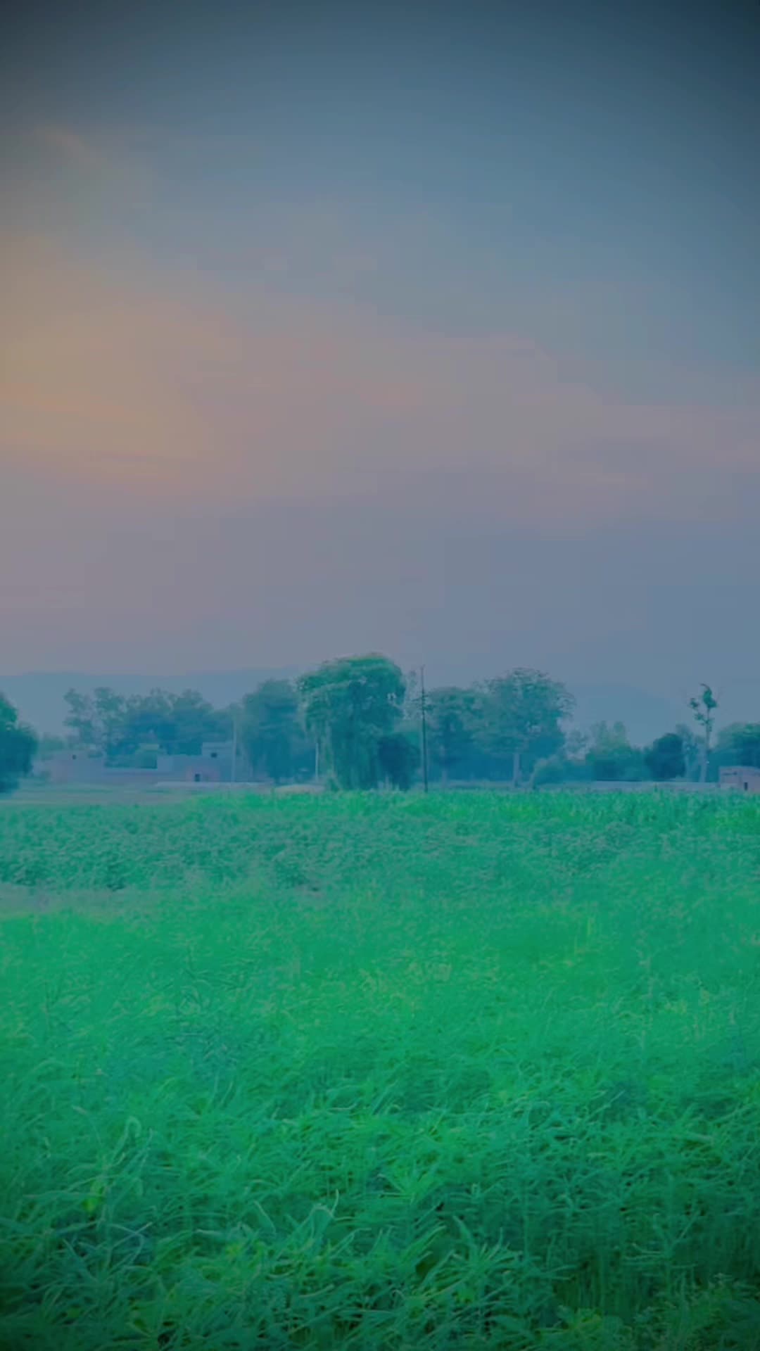 @ملک بلال اصغر کانجو