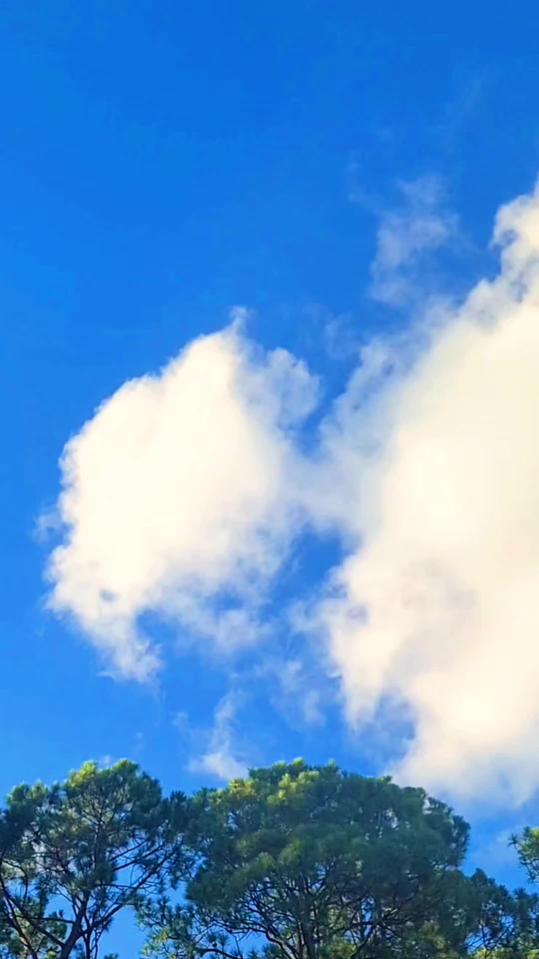 @FloridaLiving