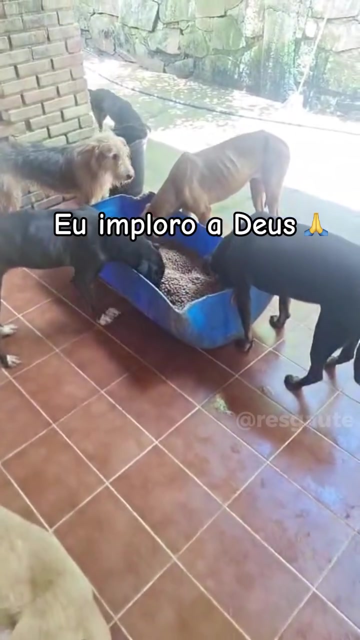 @ABRIGO DA VÓ