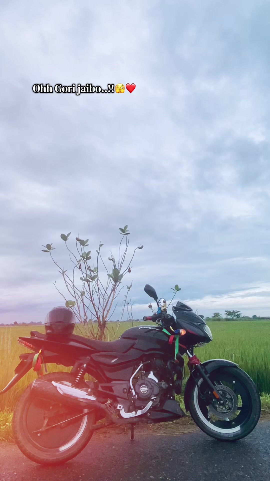 @๐ฑ๏ฃฟ pulsar &shibuuydv46๐ฑ๐๐ญ