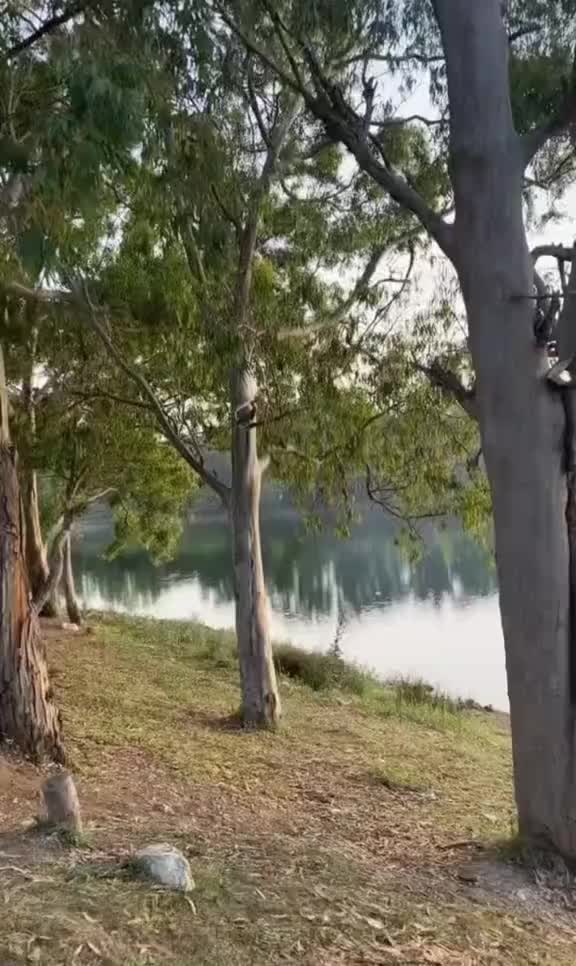 @𝘠𝘰𝘶𝘴𝘴𝘦𝘧 😍❤️🔥