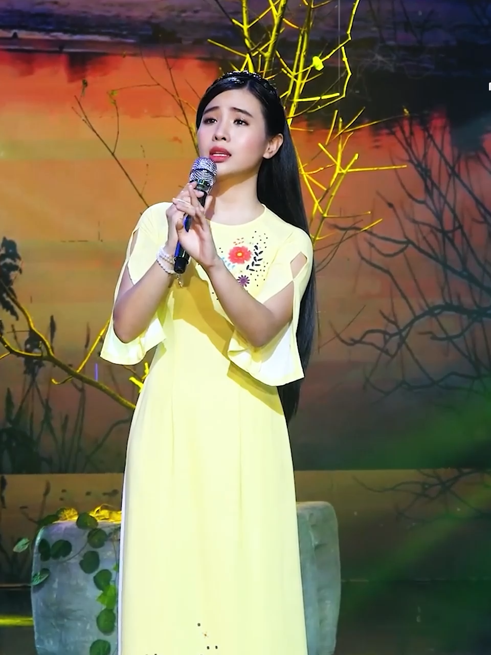 @Nam Việt Bolero