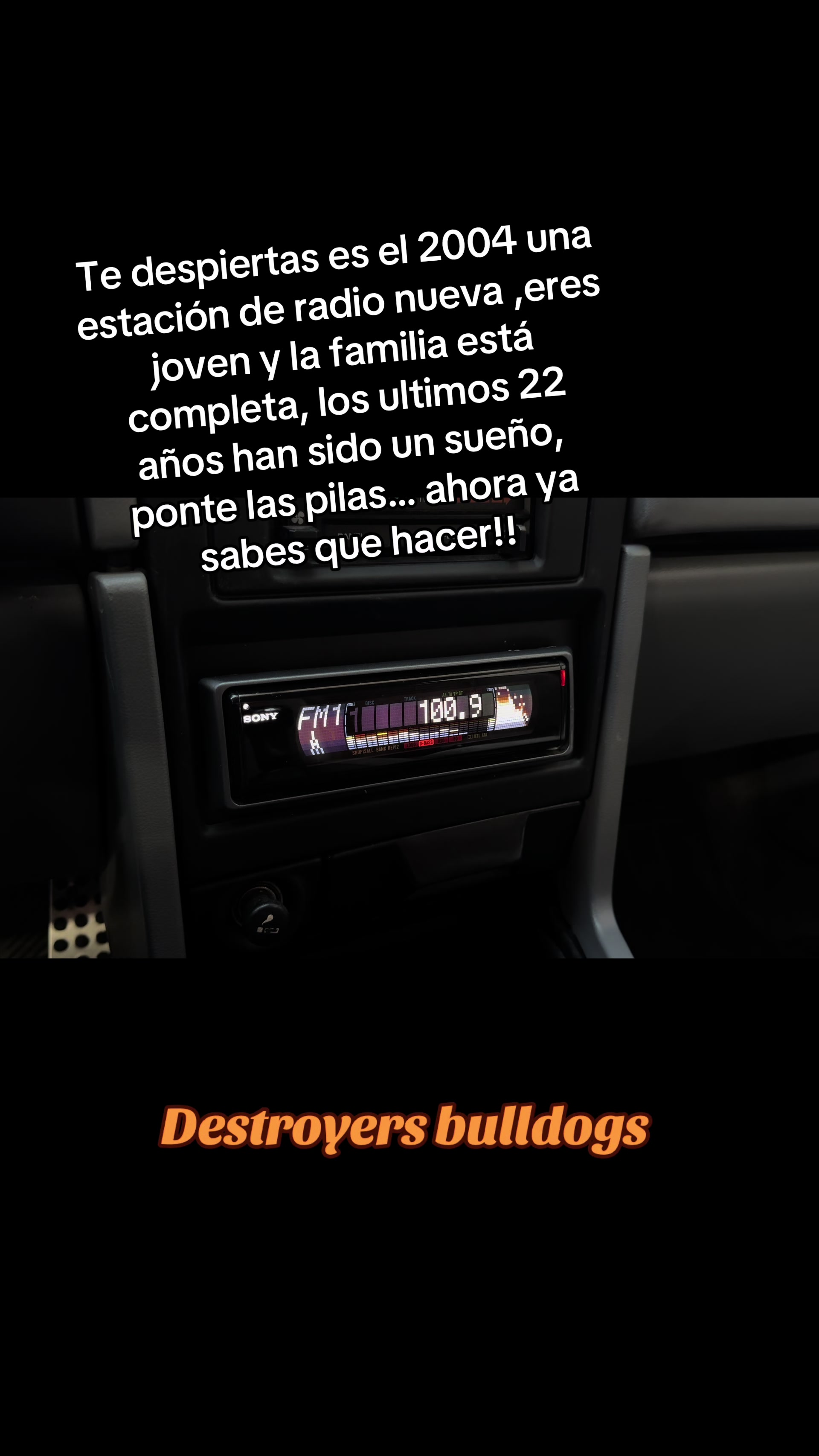 @Destroyers Bulldogs