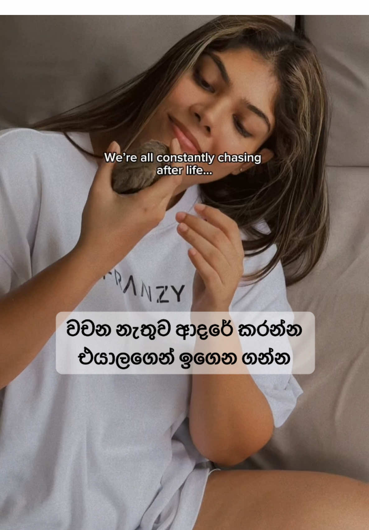 @Jelly シ