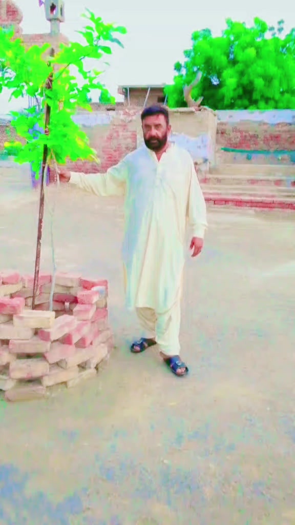 @sain hajan sha