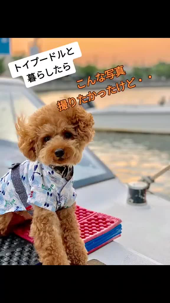 @たこ志