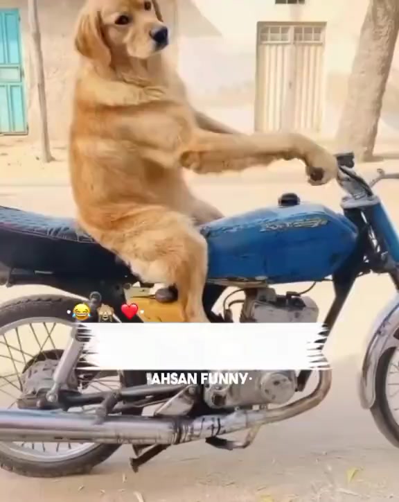 @👑 ملک حمزہ 🥷