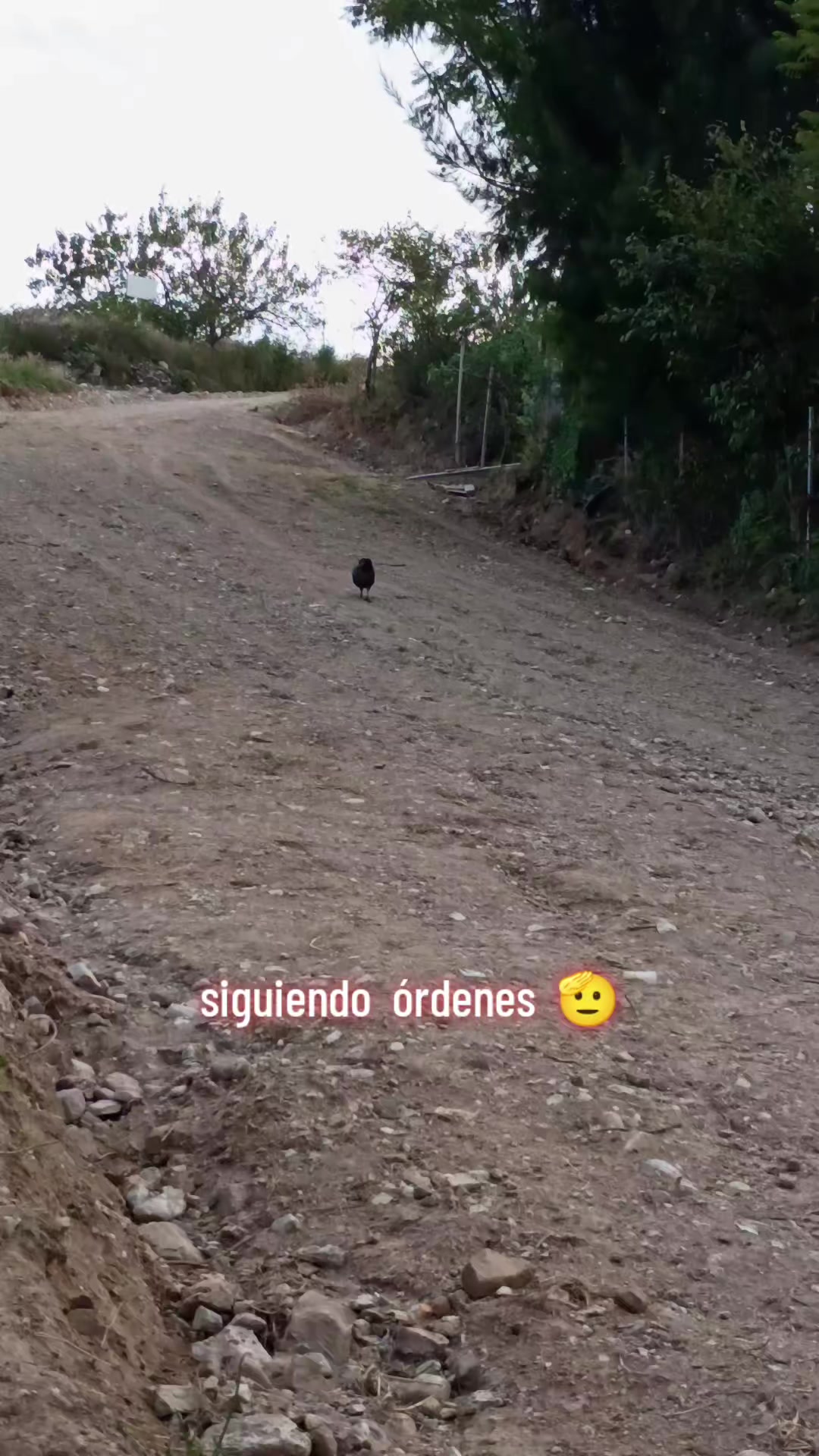 @marianita