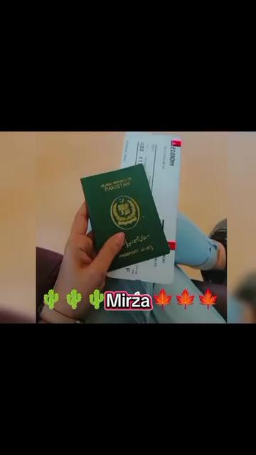 @miss mirza