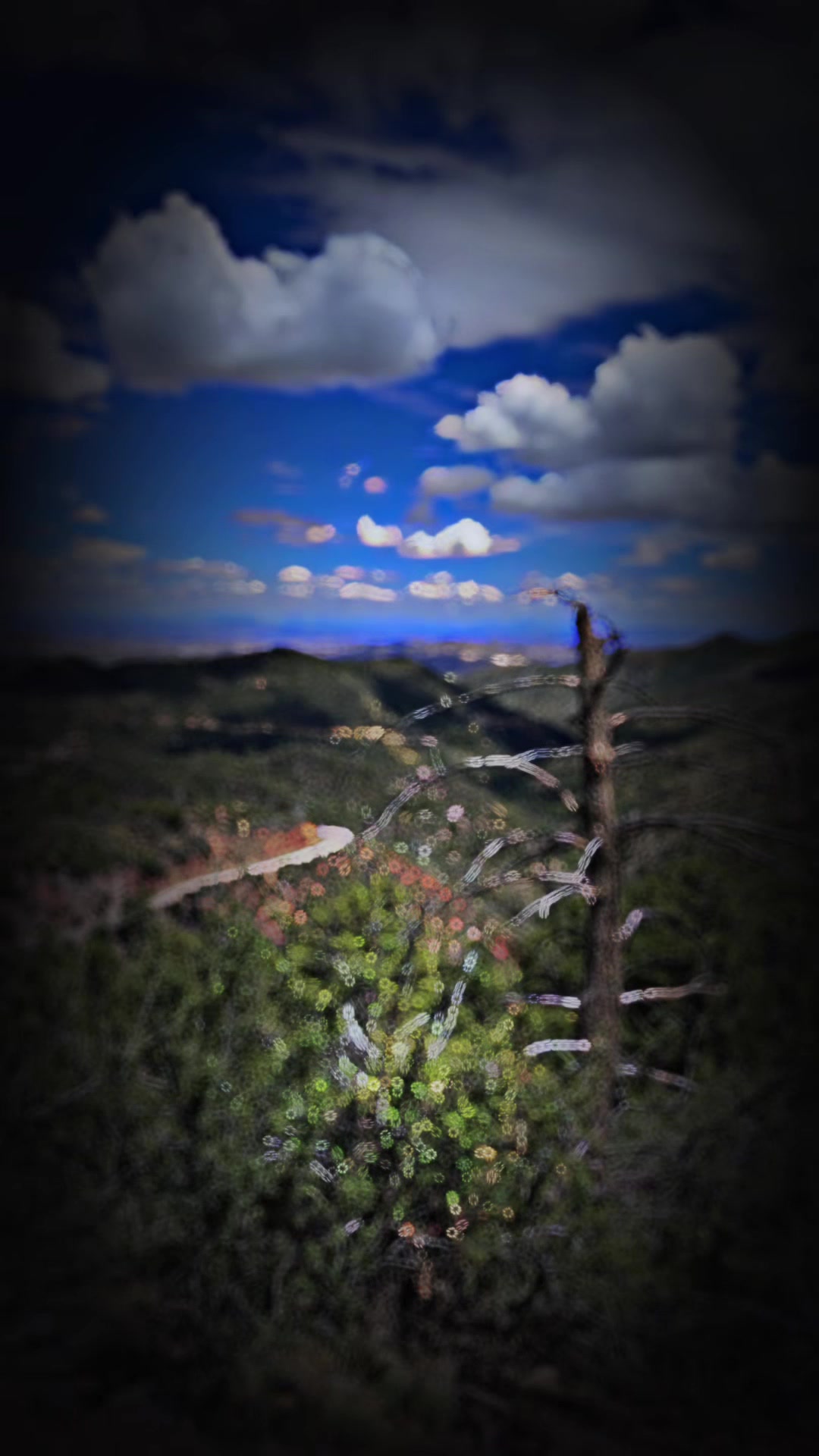 @Librada Gutierrez