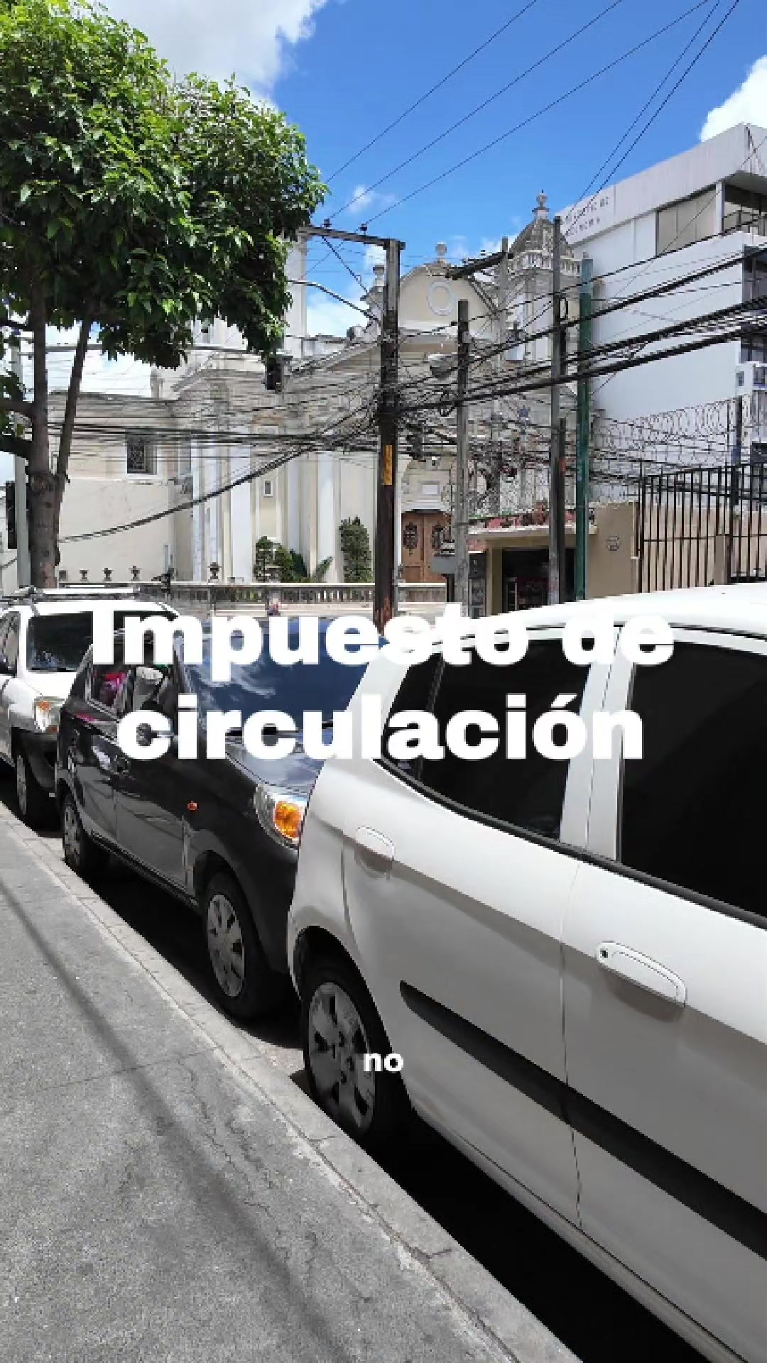 @José Chic